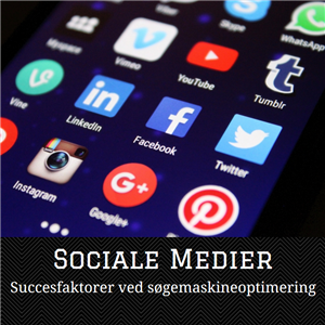 Sociale medier: Succesfaktorer ved søgemaskineoptimering (SEO)