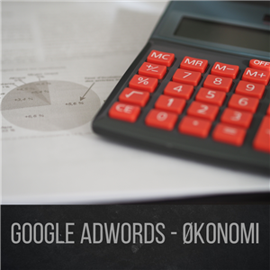 Økonomi - Google AdWords
